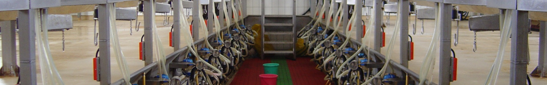 Halszálkás fejőház