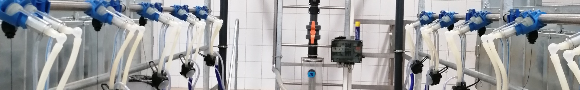 Goat and Sheep Parlours