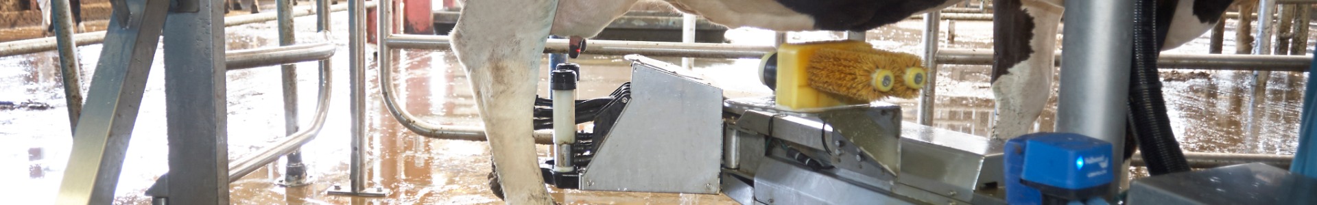 Robotic Milking FullCare