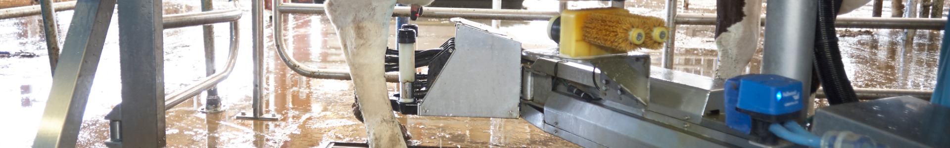 FullCare - Dairy Hygiene