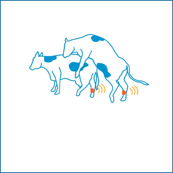 Legjobb ivarzásmegfigyelő