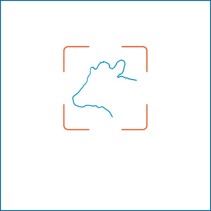 Legjobb Állatazonosító